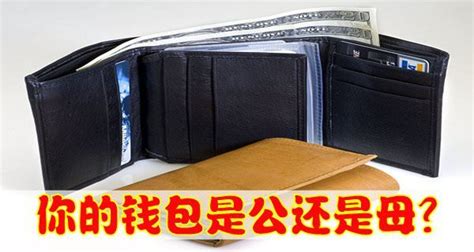 钱包要单数还是双数|【钱包知识百科】钱包款式 钱包怎么选购？钱包颜色与财。